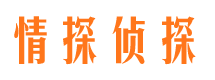 惠城侦探公司